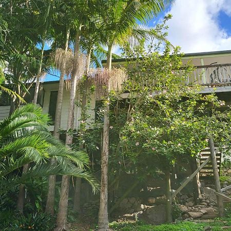 Hatea Treehouse Whangarei Kültér fotó