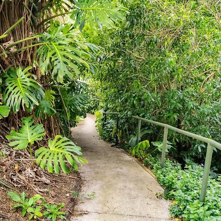 Hatea Treehouse Whangarei Kültér fotó